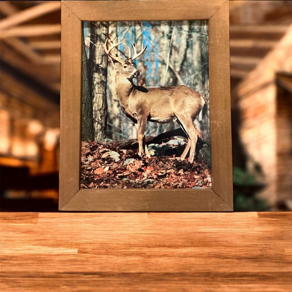 Rustic Framed Whitetail Deer Forest Print Wall Art Nature Decor